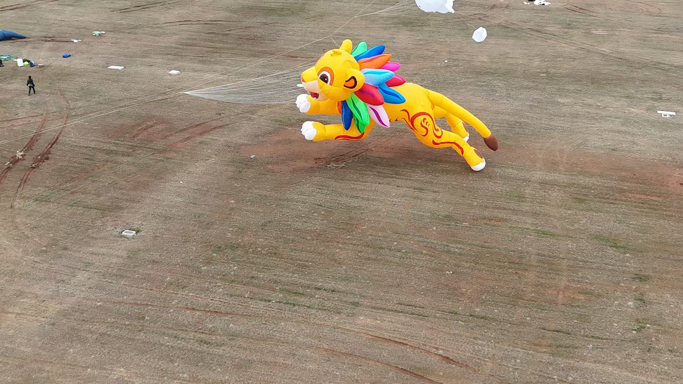 沧州市品牌风筝定制风筝定制 - 推荐