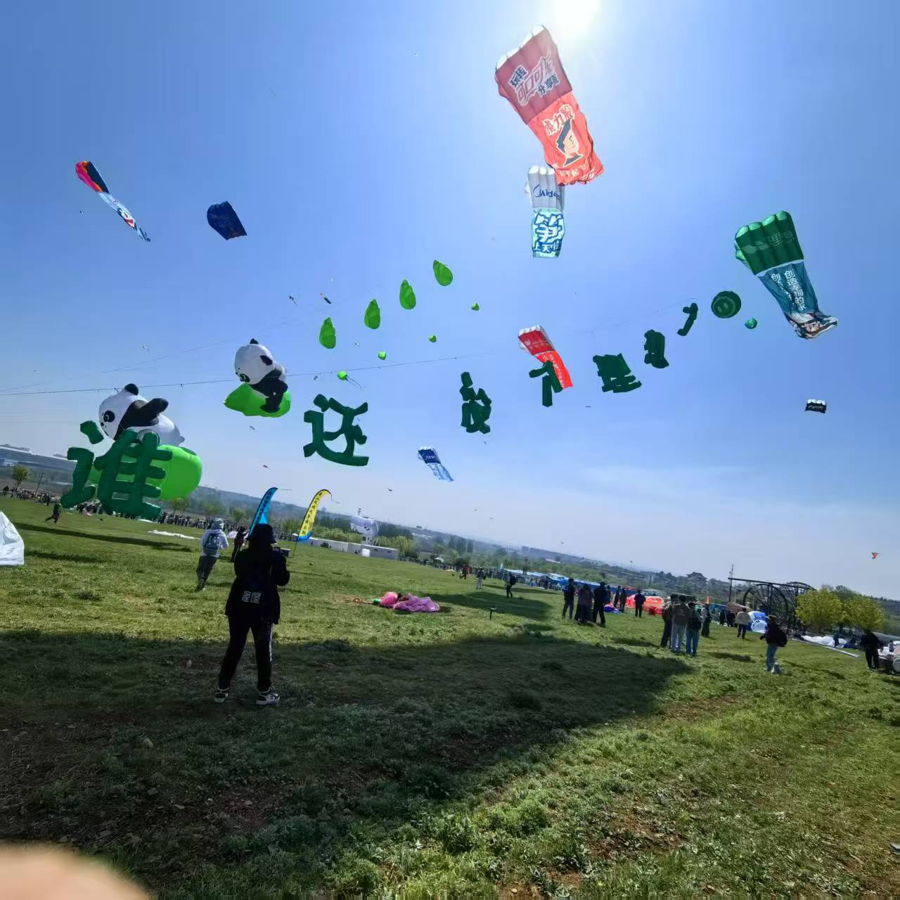 沧州市风筝定制风筝定制 - 价格